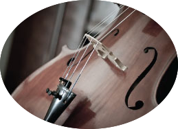 violoncello